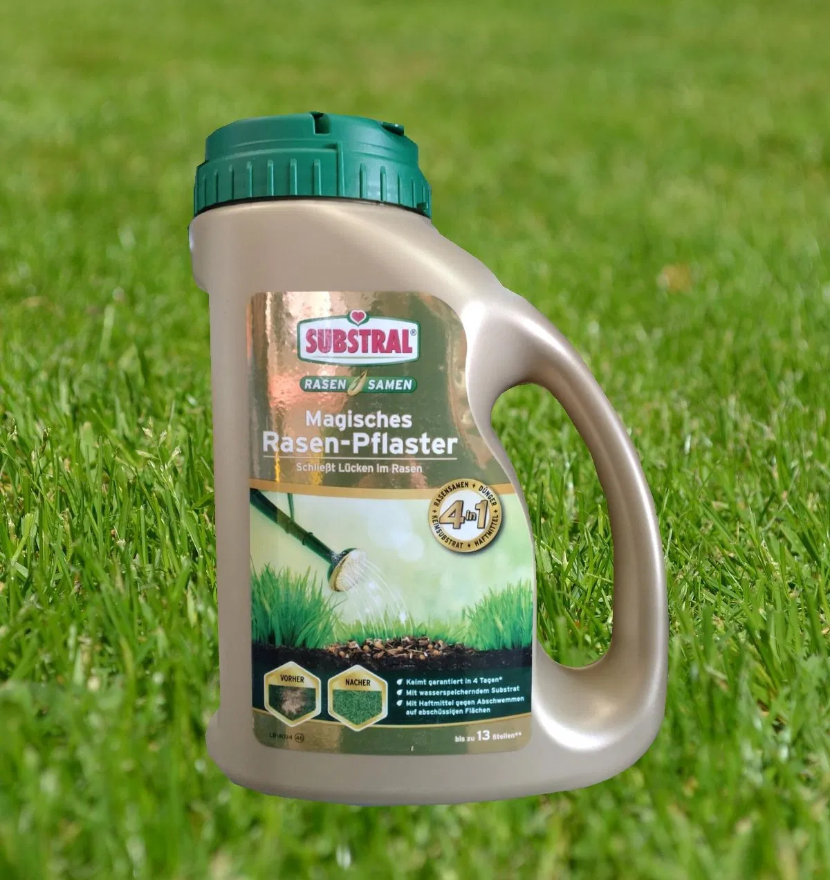 Rasenpflaster