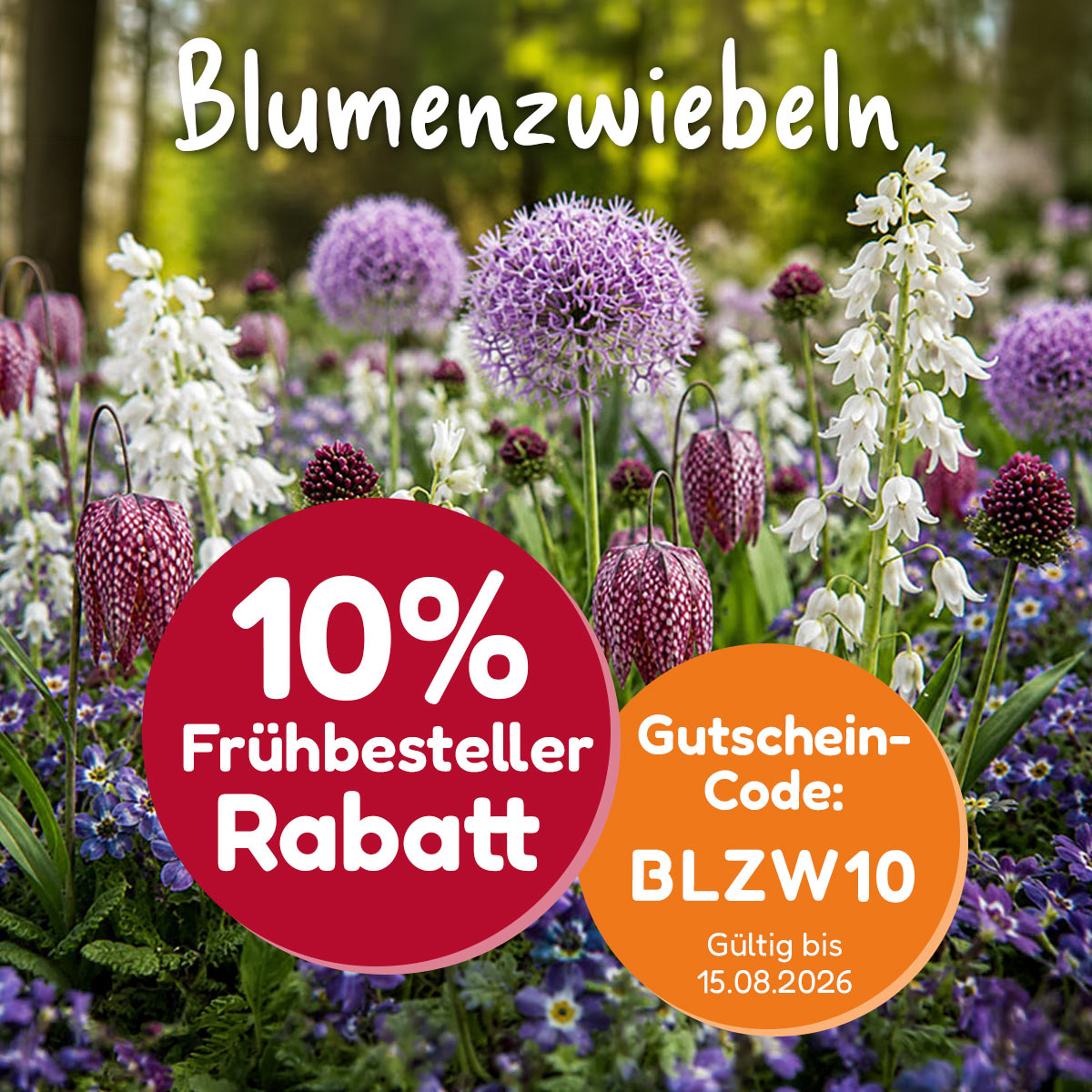 Sommerblumen