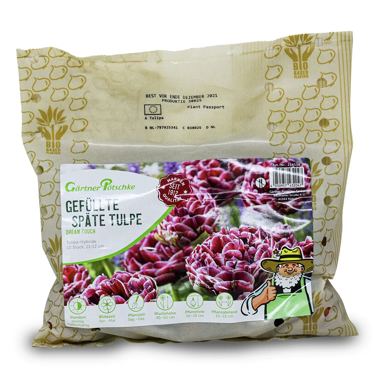 Tulpe Dream Touch