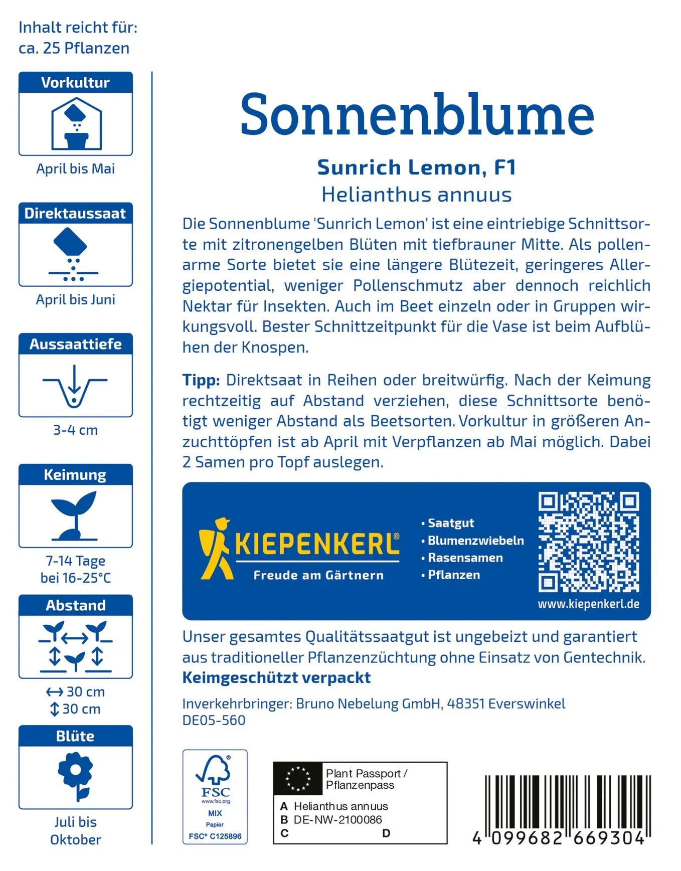 Sonnenblume Sunrich Lemon