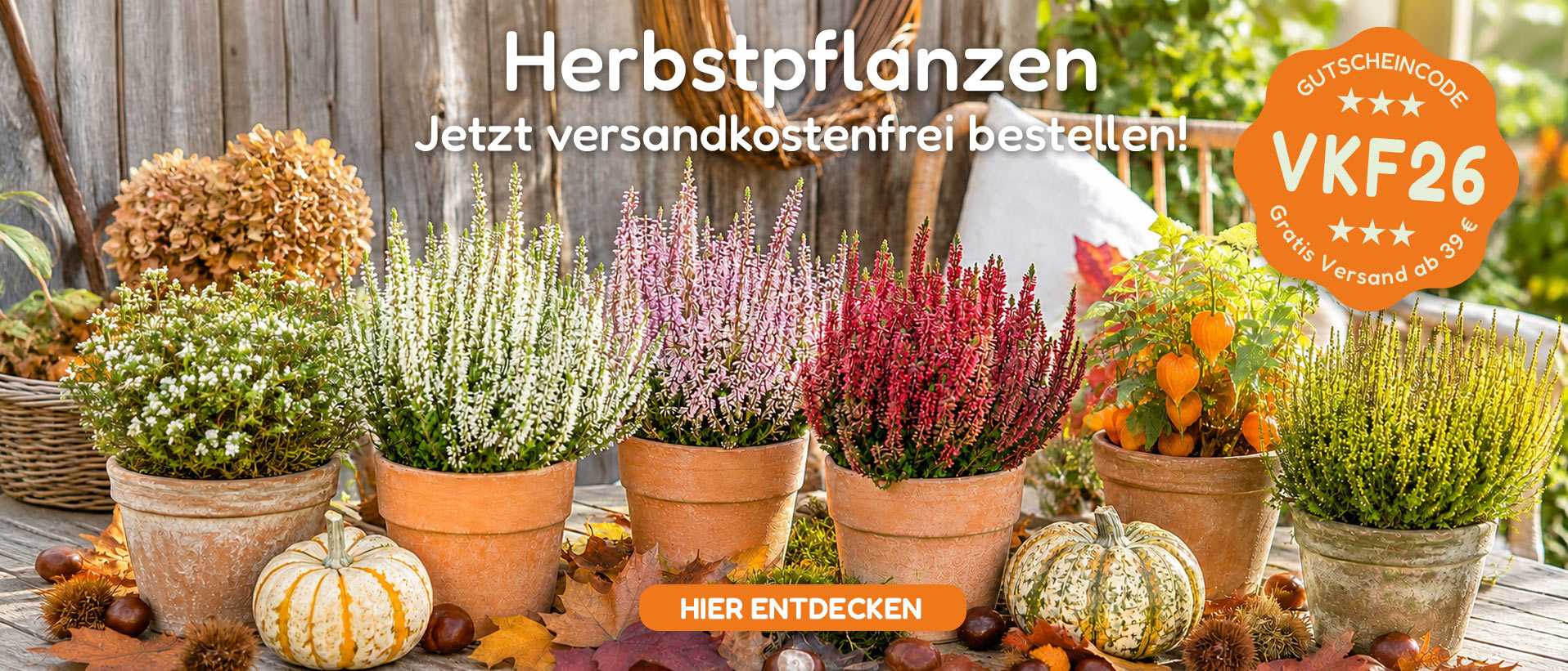Herbstpflanzen