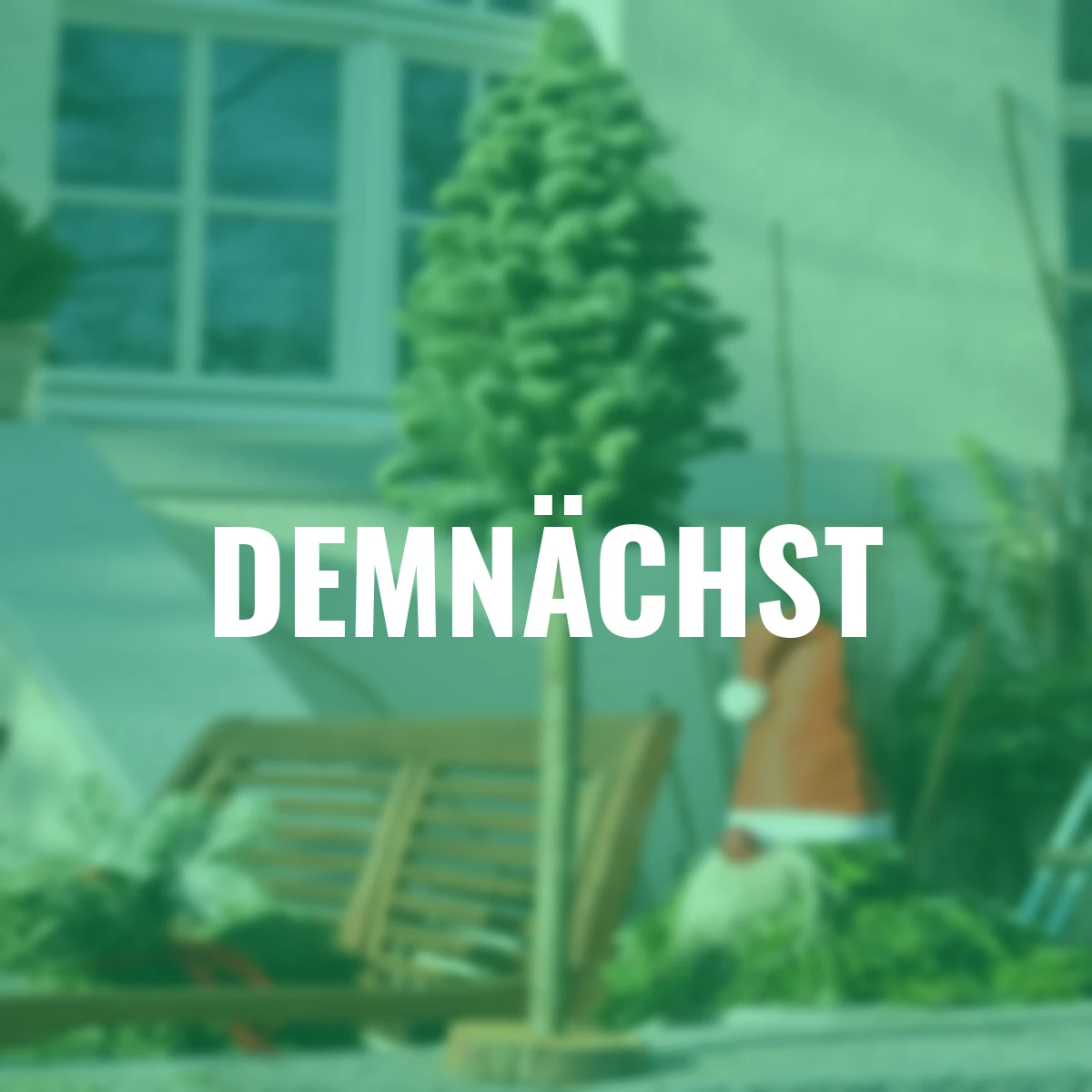 Nobilis-Bäumchen auf Stab, ca. 80 cm hoch