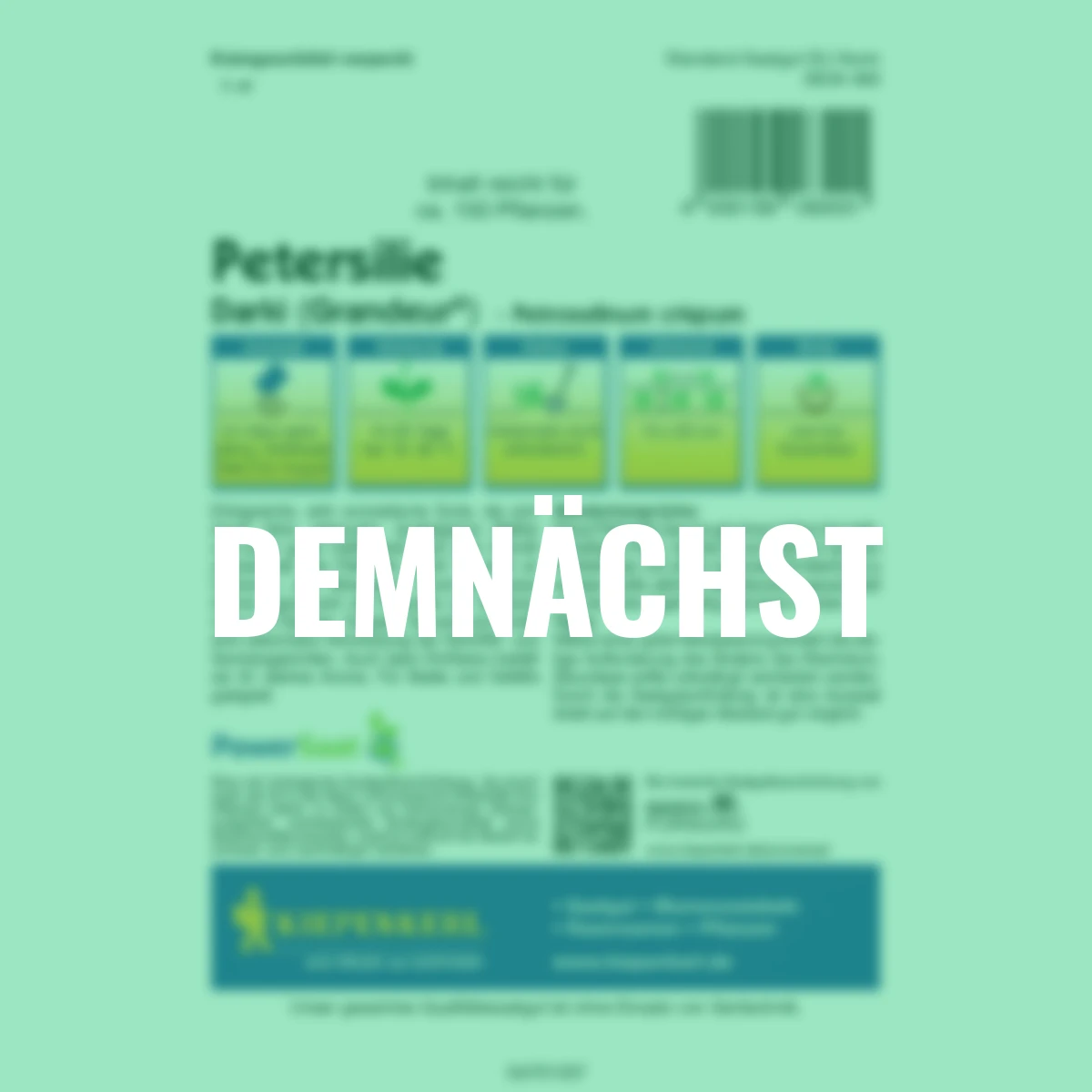 Petersilie Darki Grandeur PowerSaat