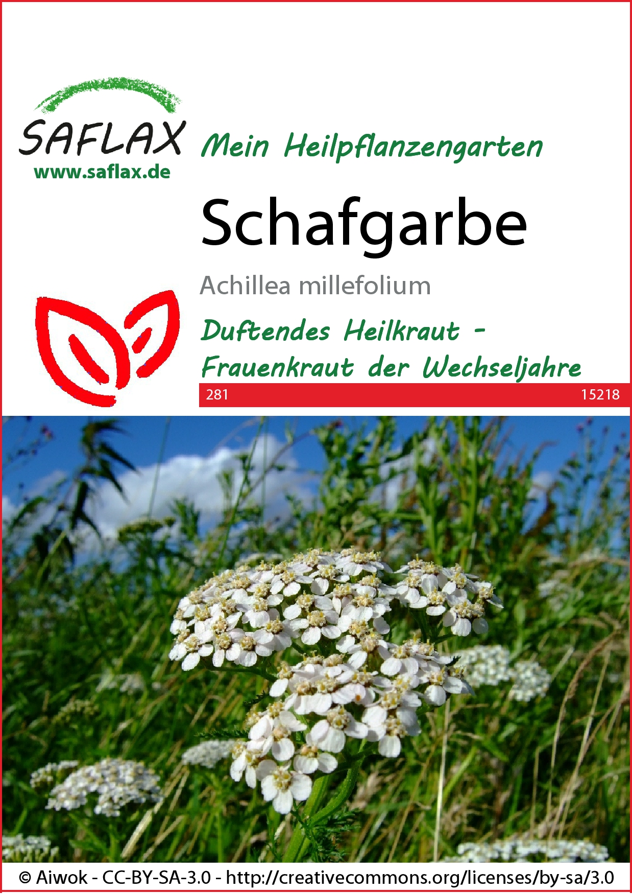 Schafgarbesamen