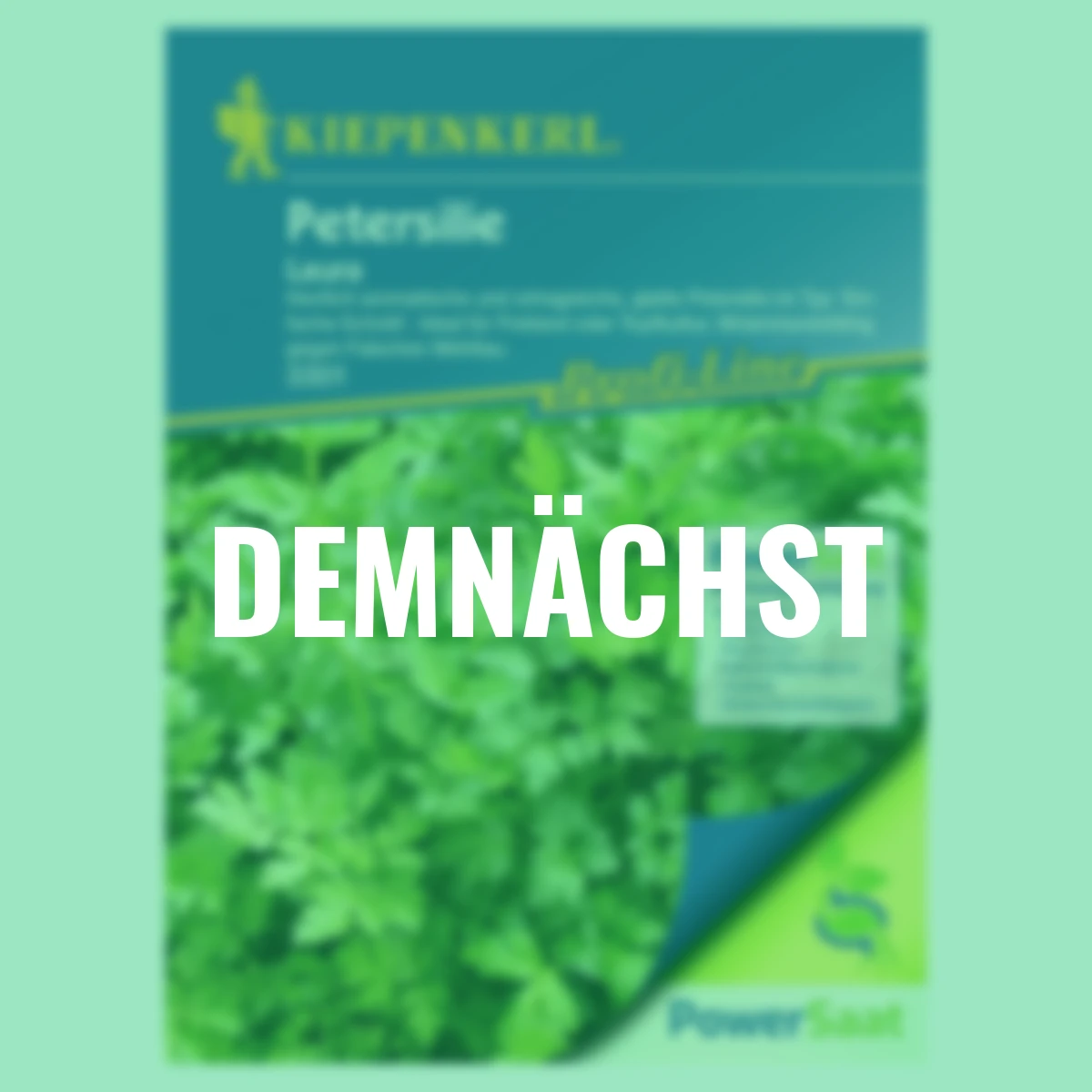 Petersilie Laura PowerSaat