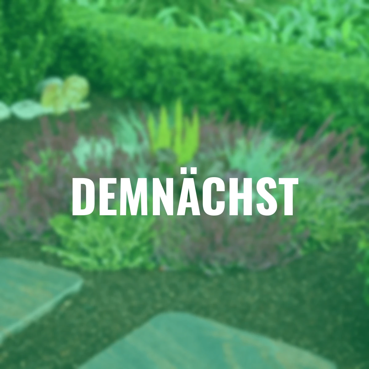 Set Grabbepflanzung Herbstgarten