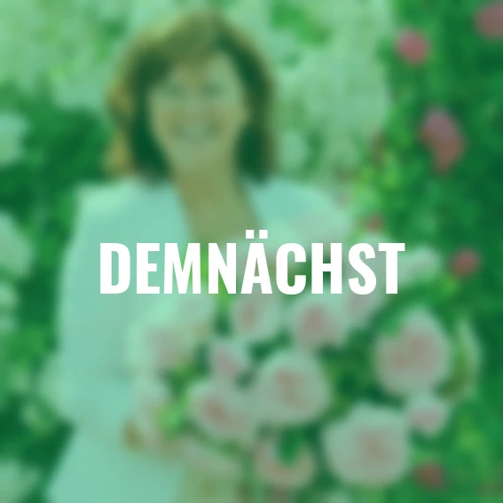 Rose Meister-Rose®  Jubilee