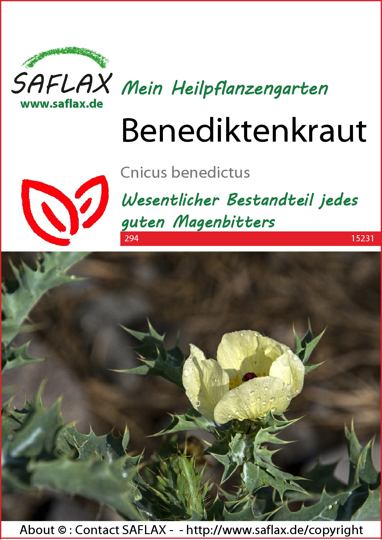 Benediktenkraut-Samen