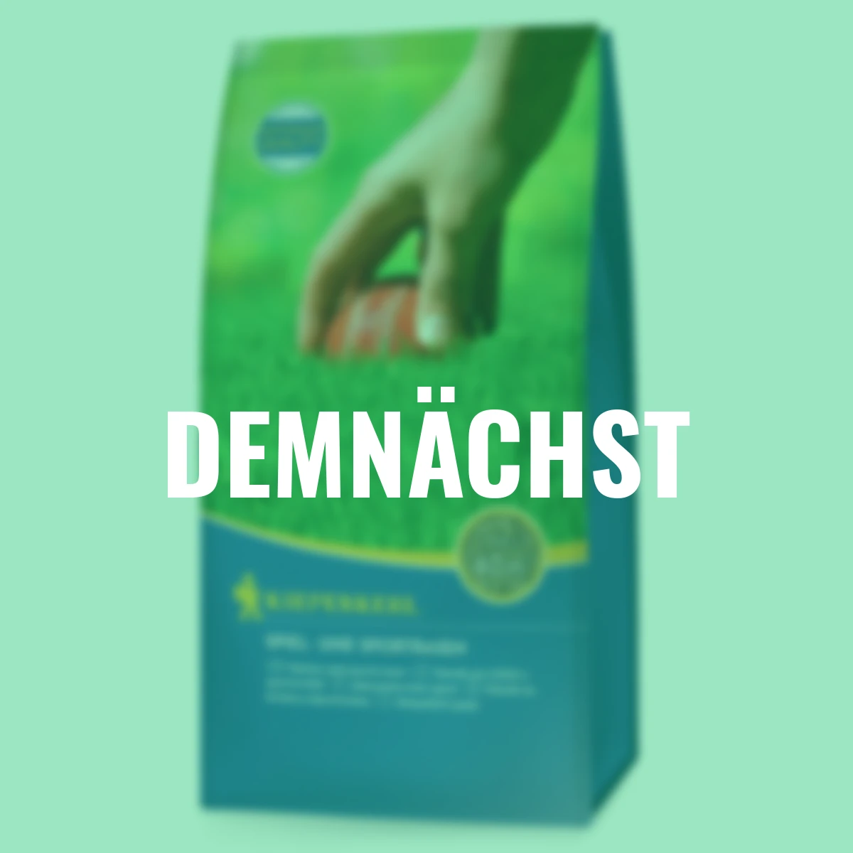 Sport- und Spielrasen, 1 kg