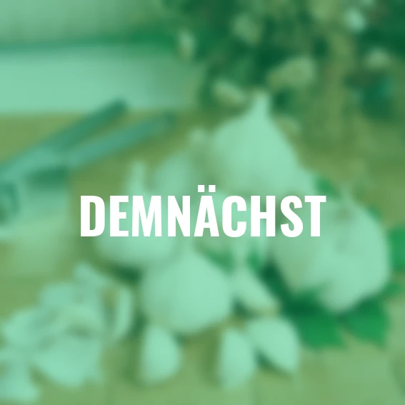 Knoblauch Cledor, weißer französischer, 250 g