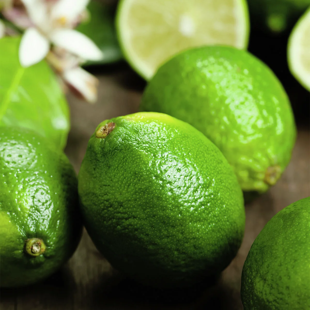 Grüner Limetten-Stamm, im ca. 23 cm-Topf