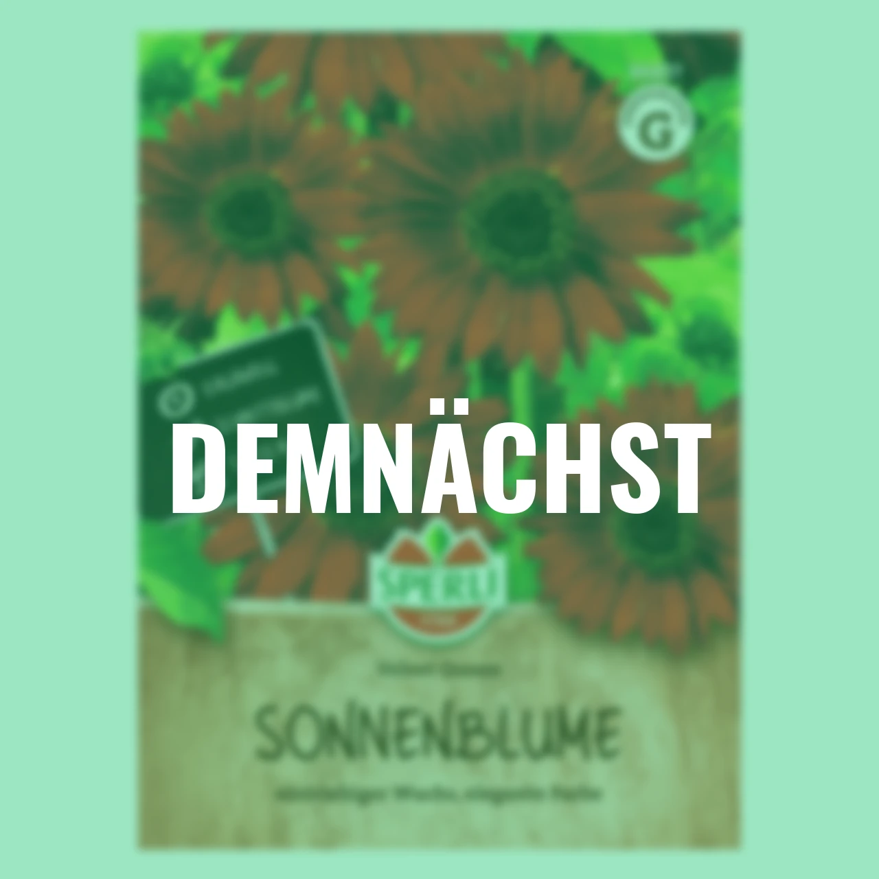 Sonnenblumensamen Velvet Queen