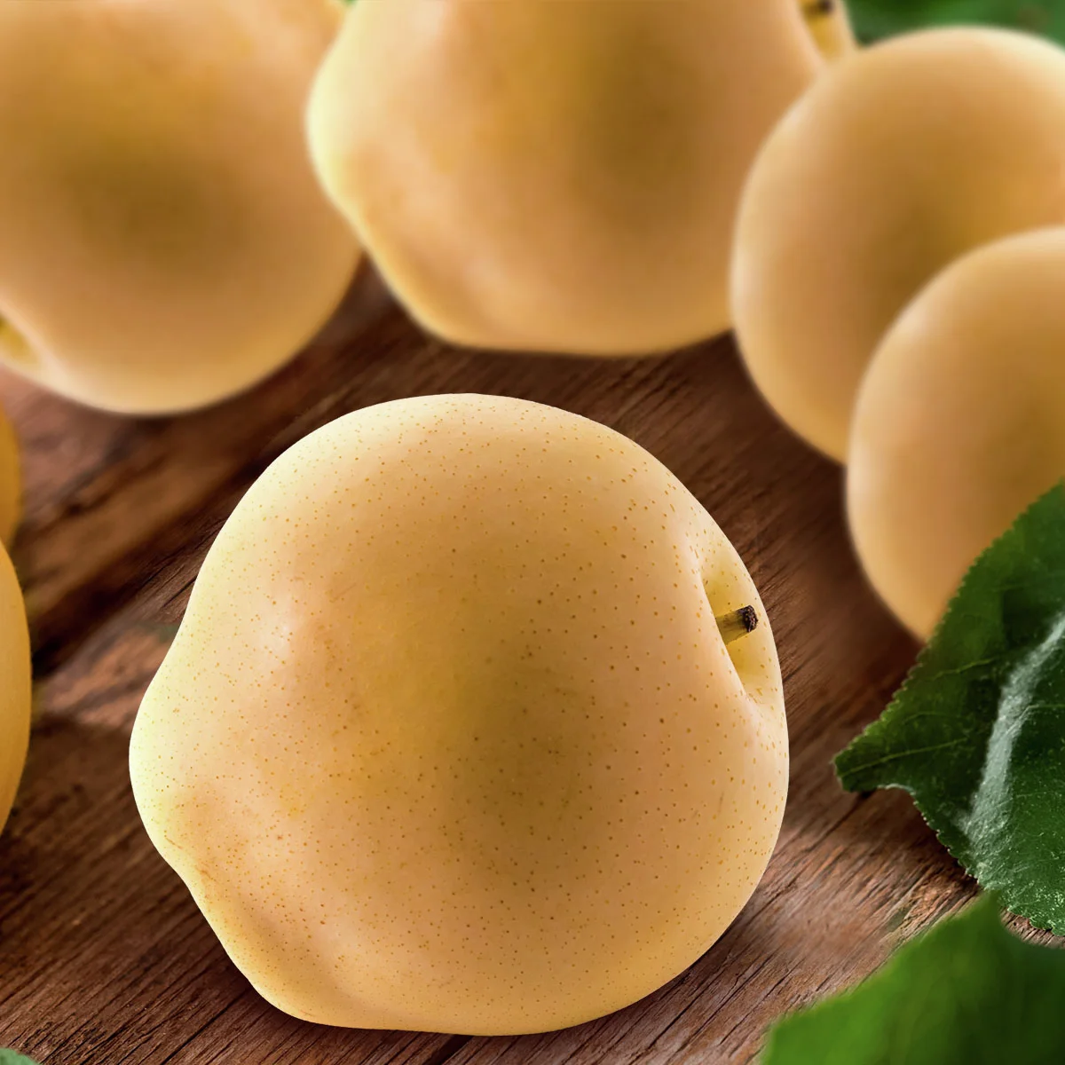 Säulen-Nashi Prosuccoso