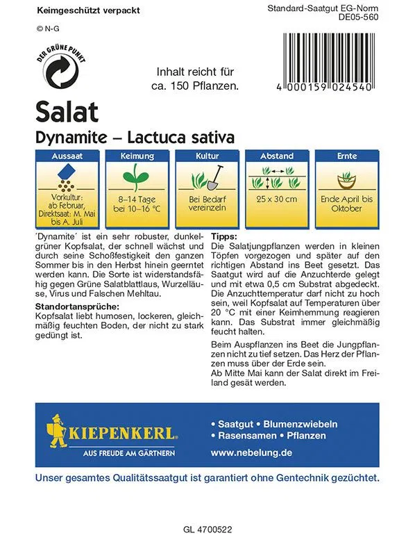 Kopfsalatsamen Dynamite
