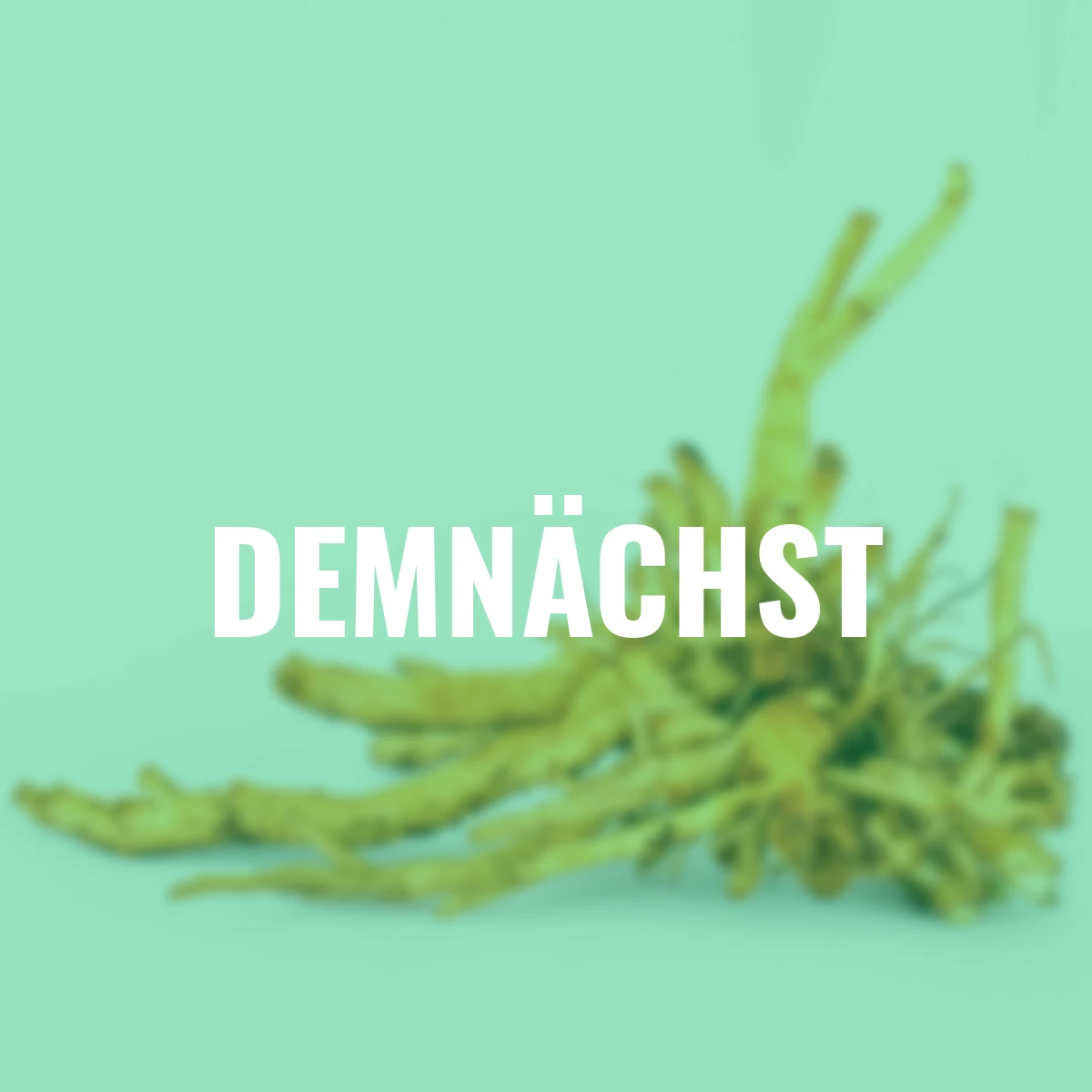 Tränendes Herz Love-Mischung