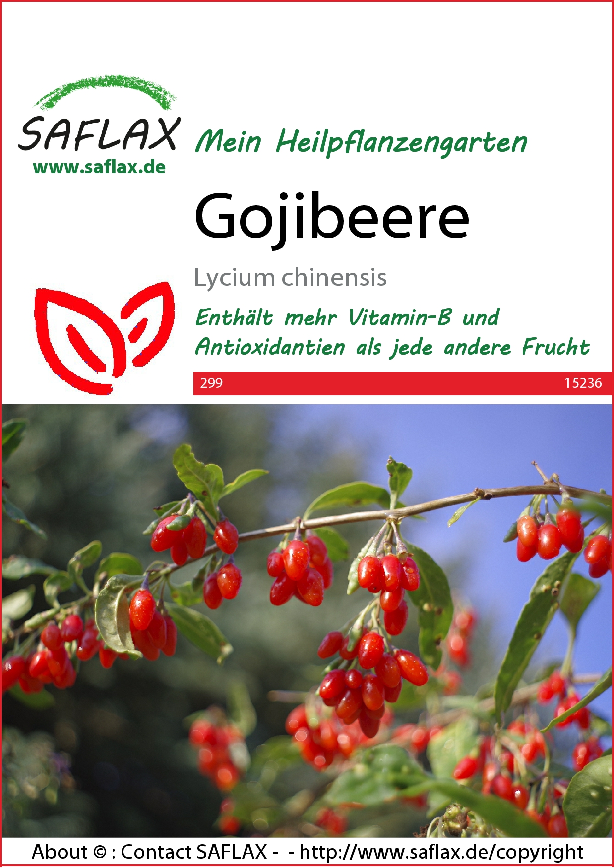 Gojibeere - Samen