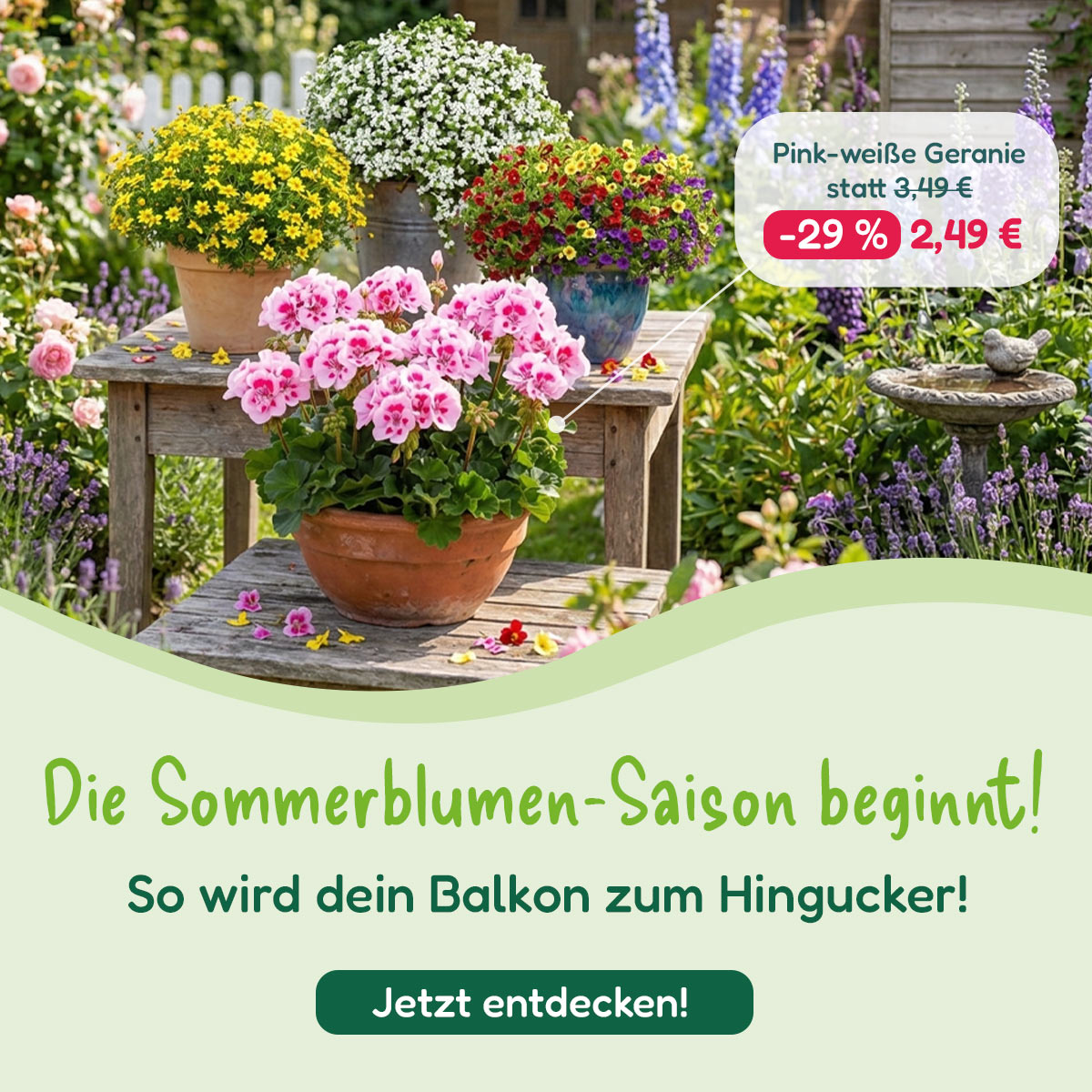 Sommerblumen