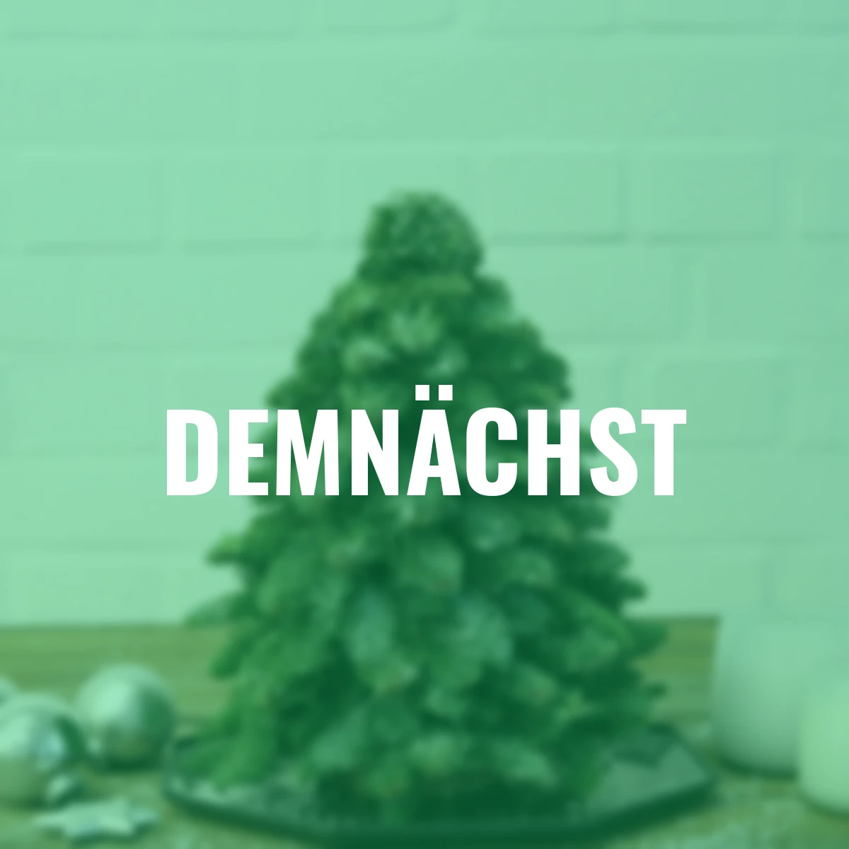 Nobilis-Weihnachtsbäumchen, klein