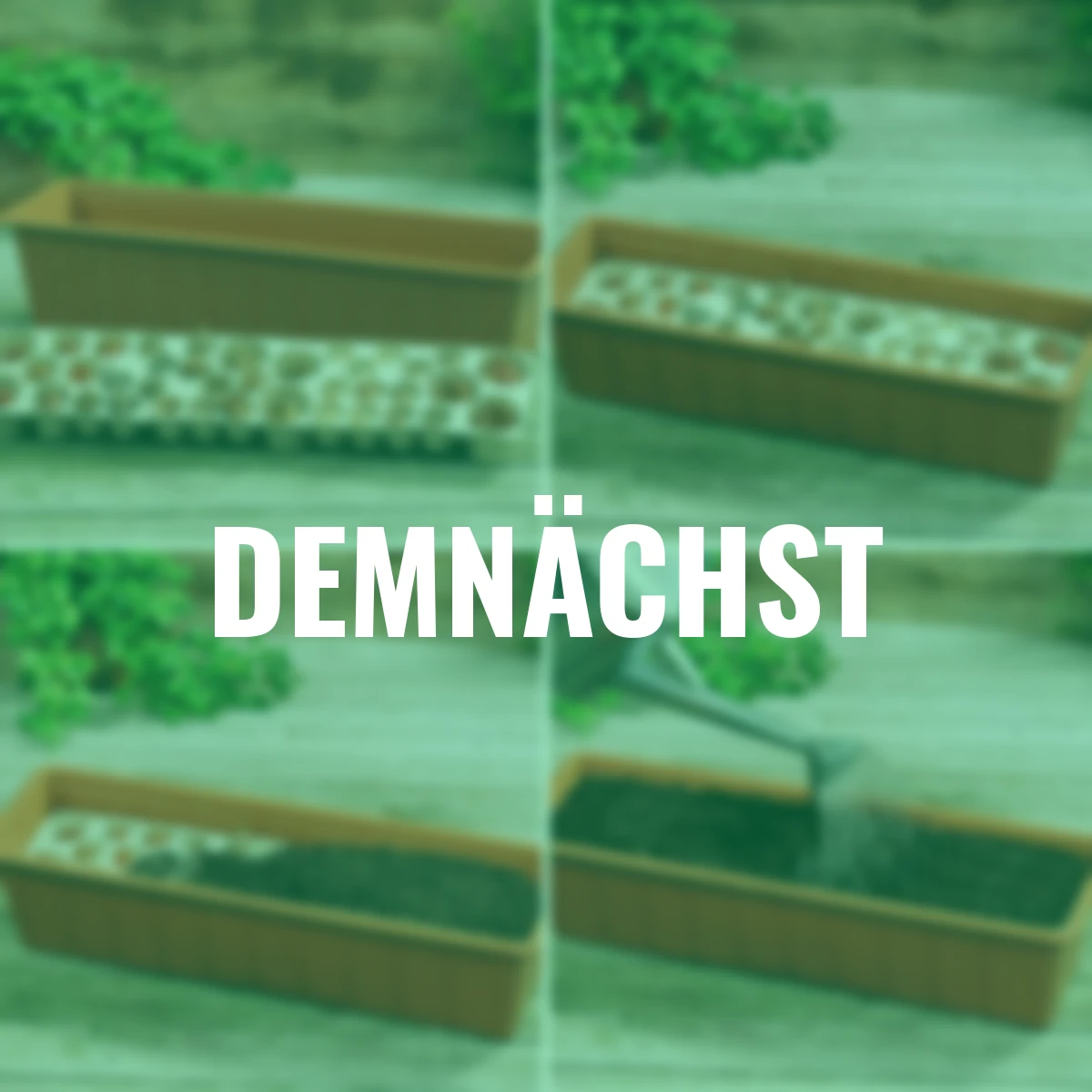 Balkon-O-Mat Tray Sunshine Mischung