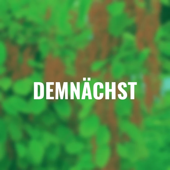 Vitalbeere® Wu-Wei-Zi