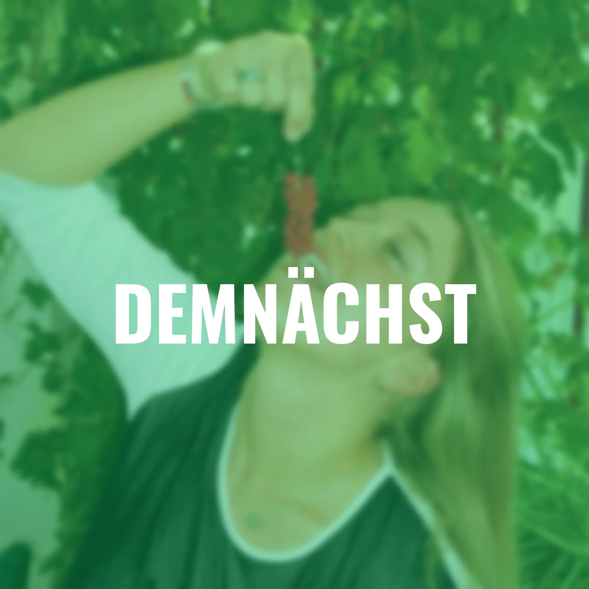 Vitalbeere® Wu-Wei-Zi