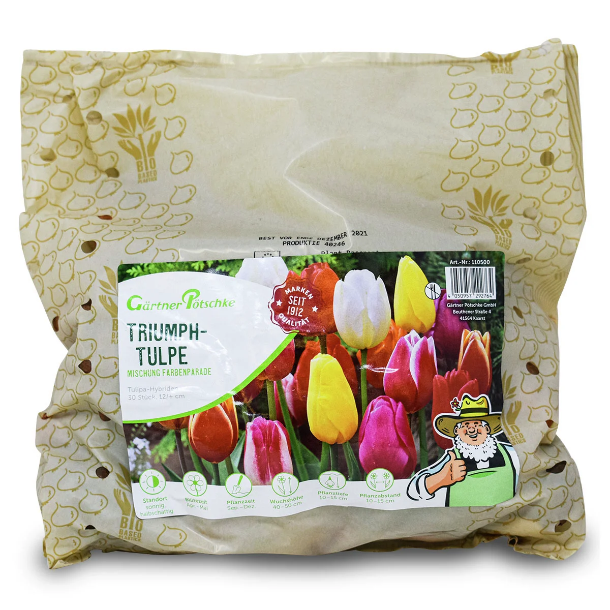 Tulpen-Mischung Farbenparade in Extragröße
