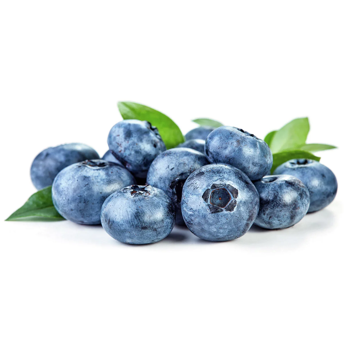 BIO Heidelbeere Bluecrop