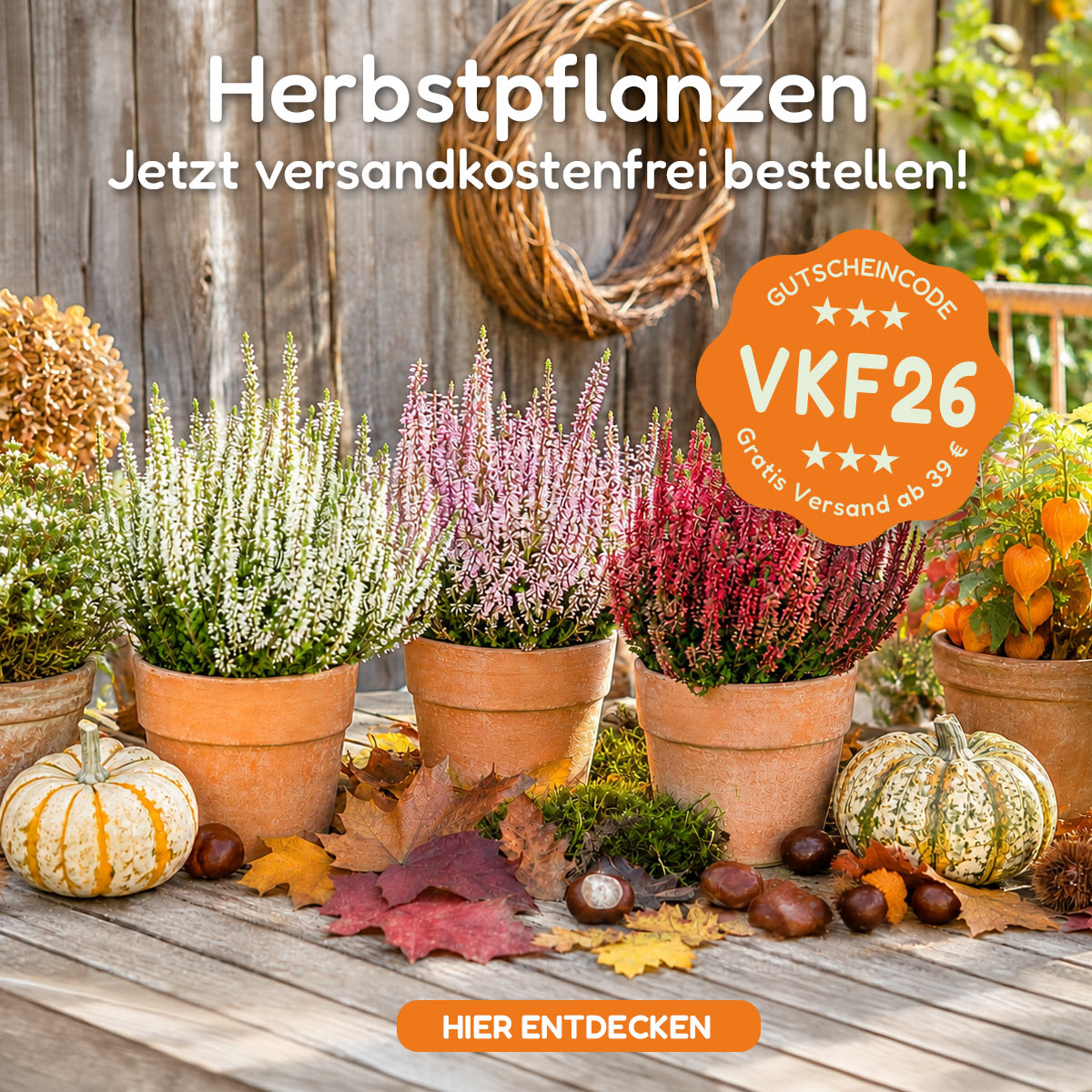 Herbstpflanzen