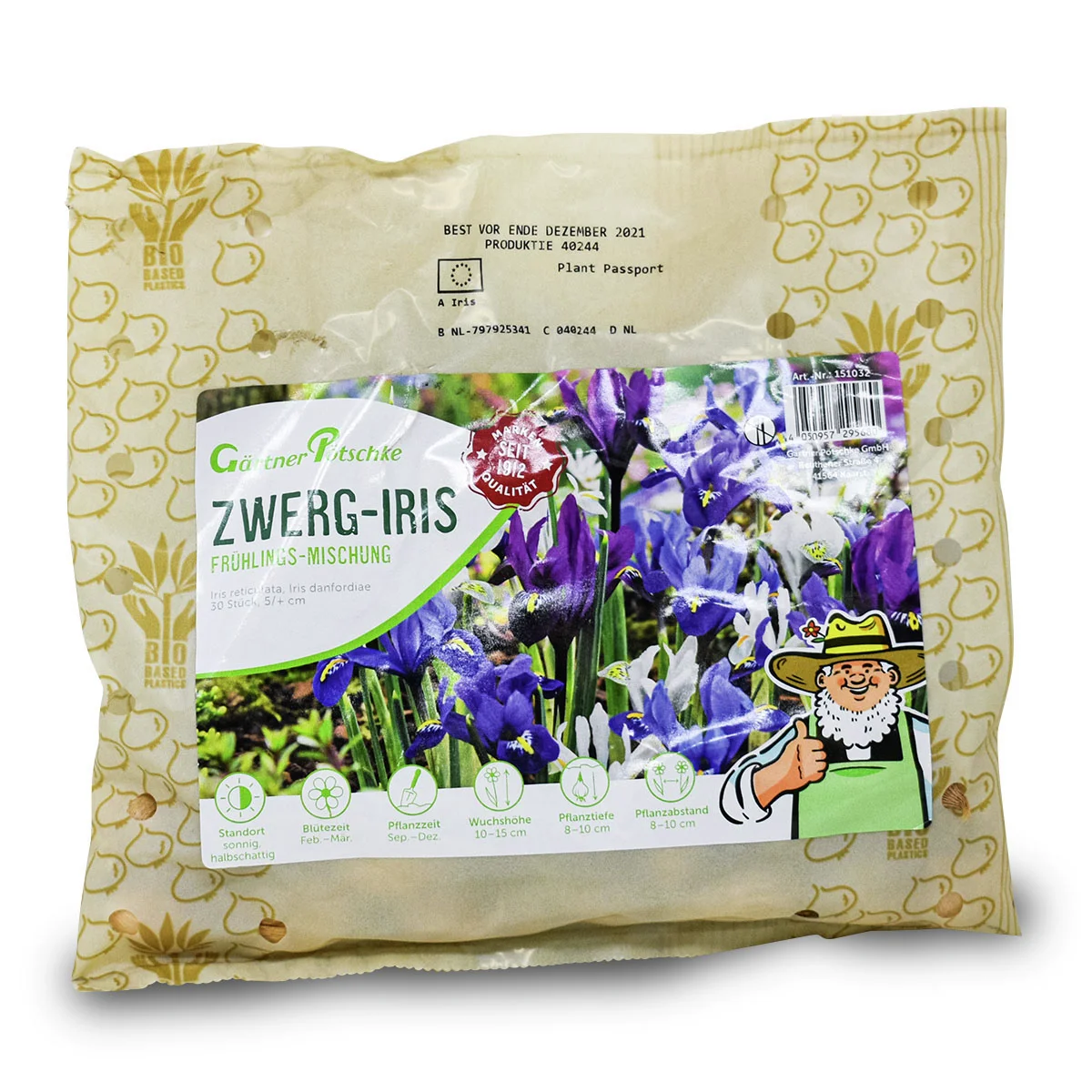 Frühlings-Zwerg-Iris-Mischung