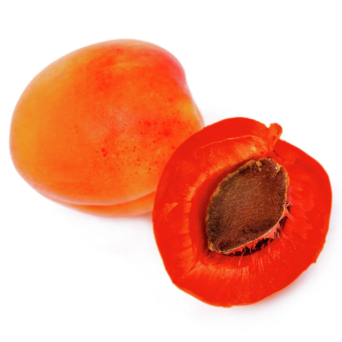 Rotfleischige Aprikose Vampira