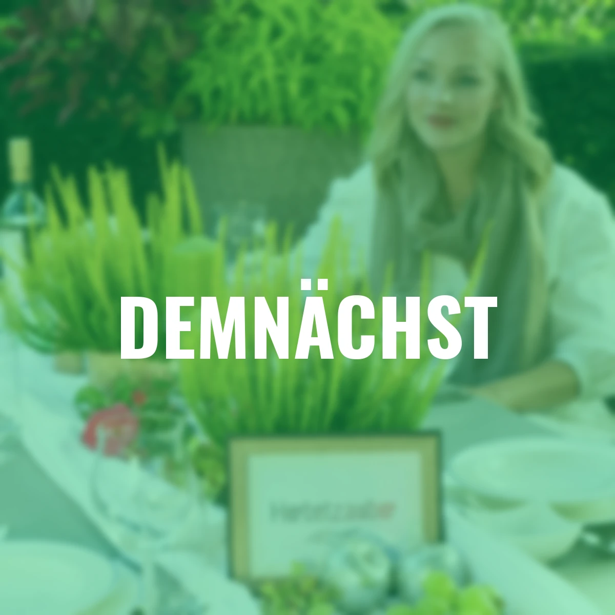 Knospenheide Gardengirls® Zelda, gelb