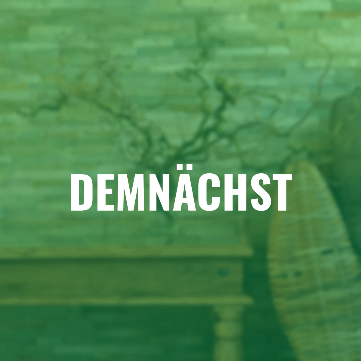 Korkenzieherhaselzweige