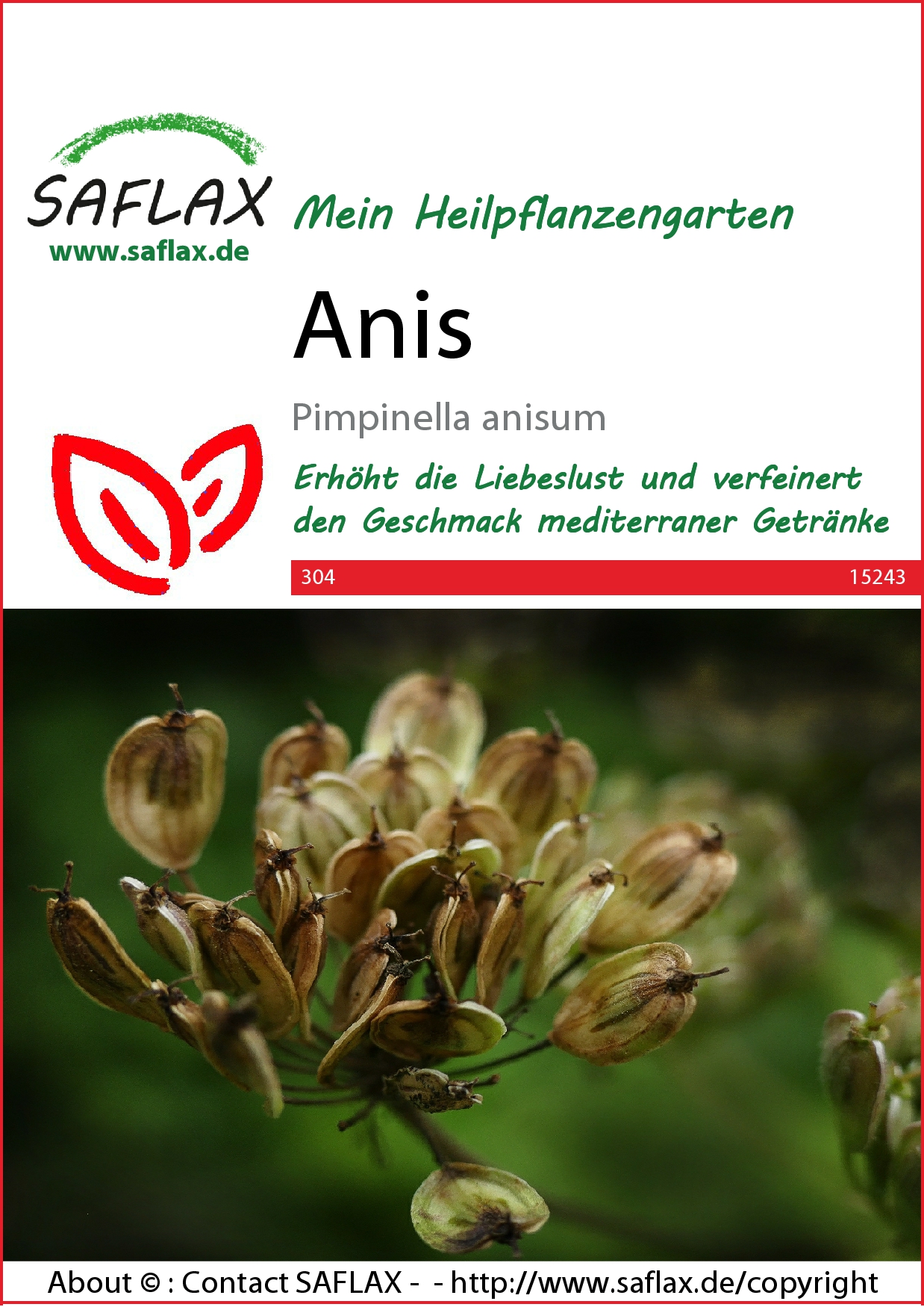 Anis Samen