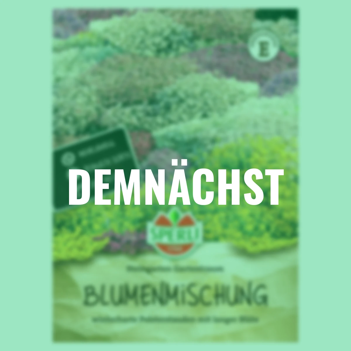 Blumensamen-Mischung Steingarten Gartentraum