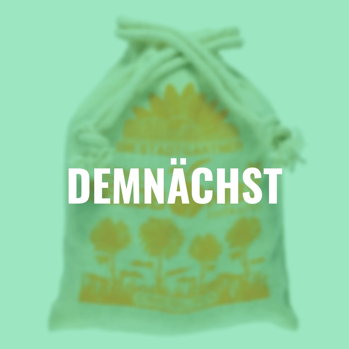 Blumen-Seedbombs Sonnenblumen