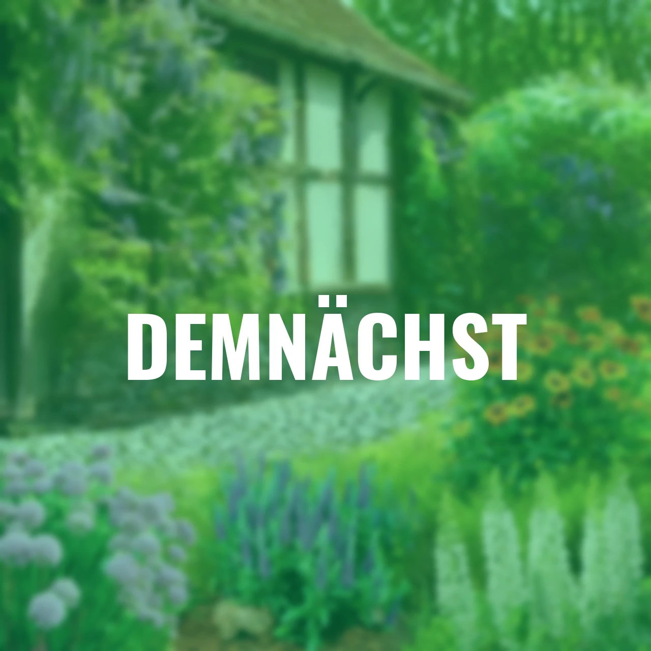 Stauden-Set Landhausgarten