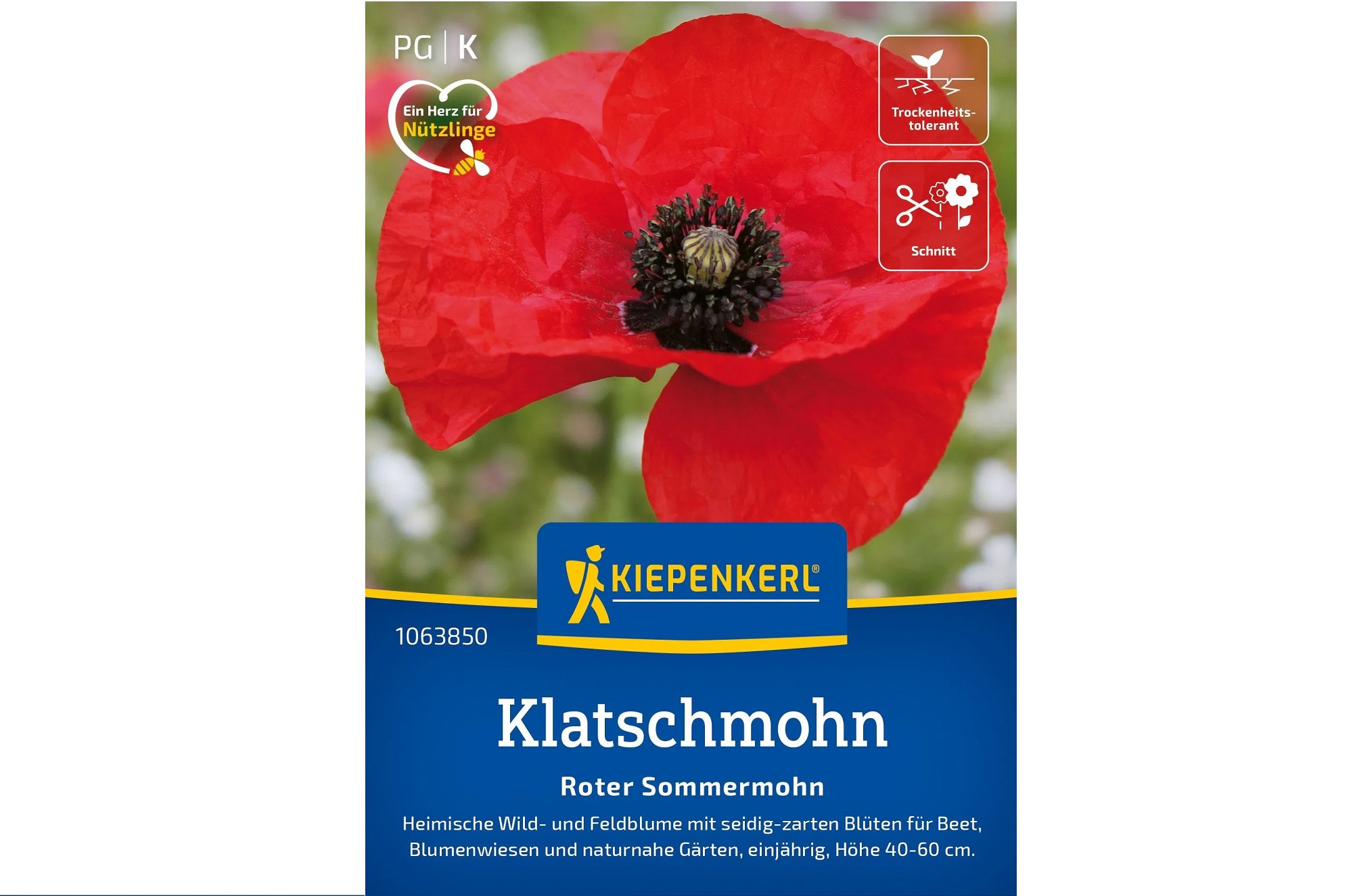Klatschmohn