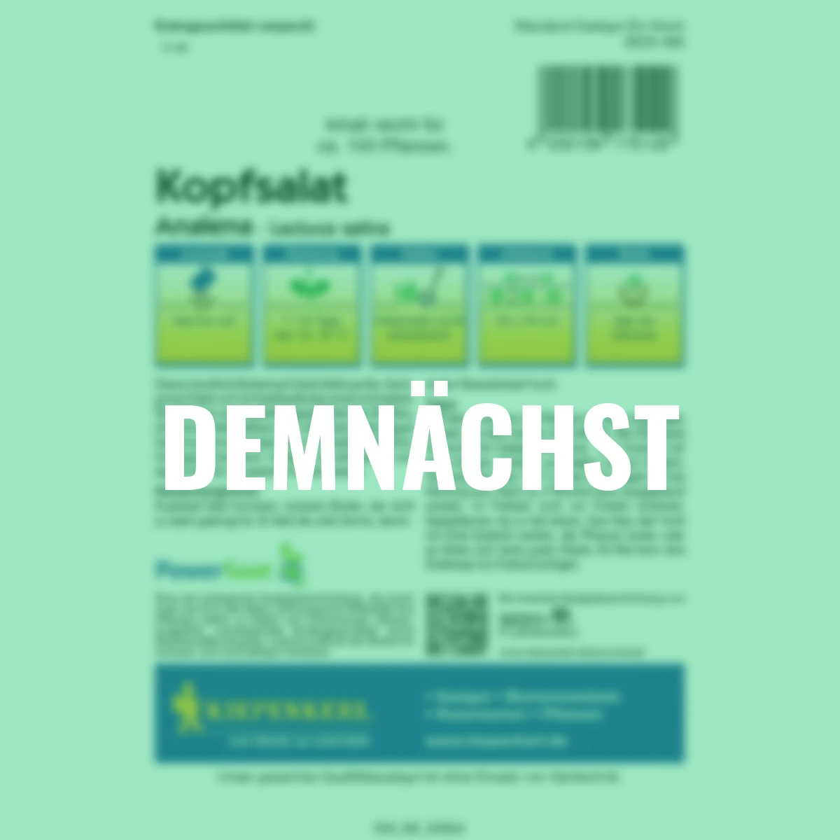 Kopfsalat Analena PowerSaat