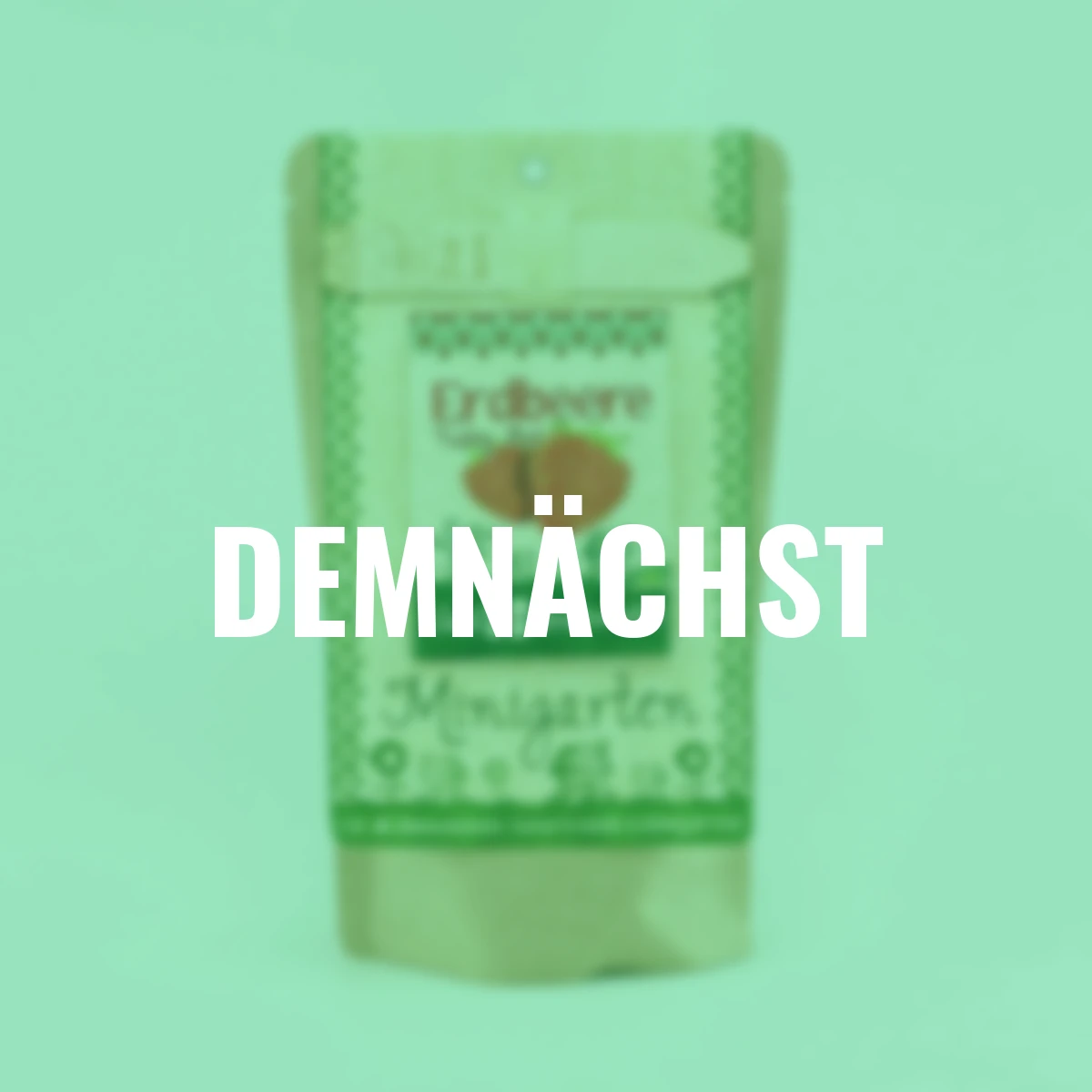 Minigarten - Erdbeere Tubby Red