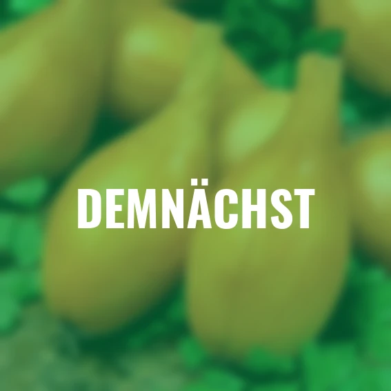 Steckzwiebel Birnförmige, 250 g