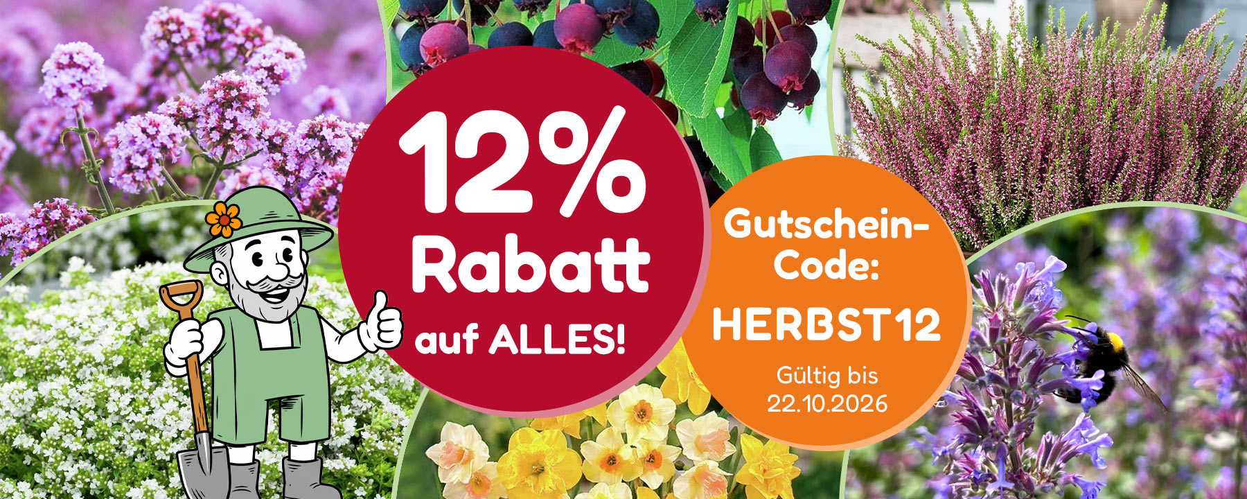 Herbstpflanzen