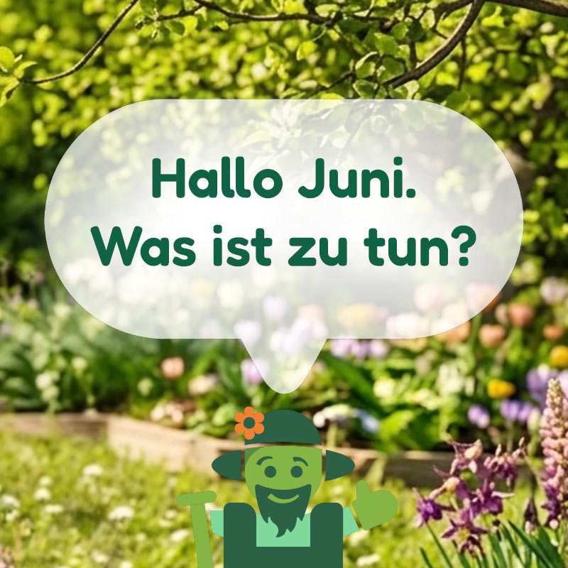 Was ist zu tun im April