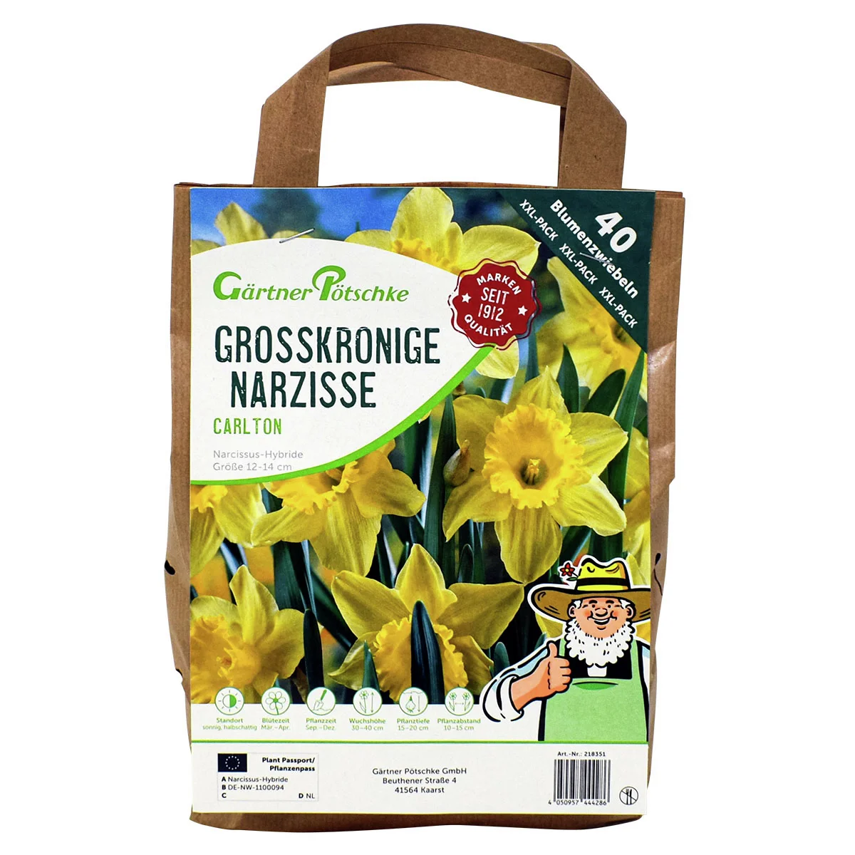 Narzisse Carlton, XXL-Pack.