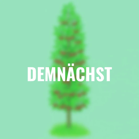 Säulen-Sauerkirsche Maynard®