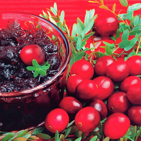 Cranberry, im ca. 13 cm-Topf