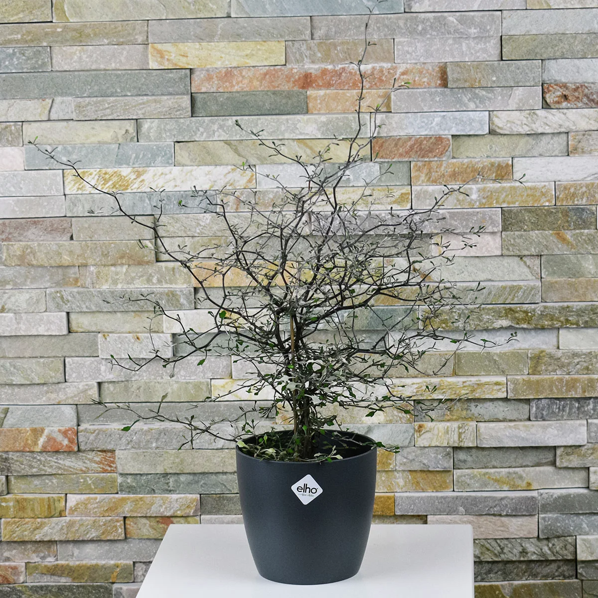 schneider dekovase wanddeko mit pflanztopf Moderne & Stilvolle Dekovase Blumenvase Silber Deko – Funkelherz main image 1
