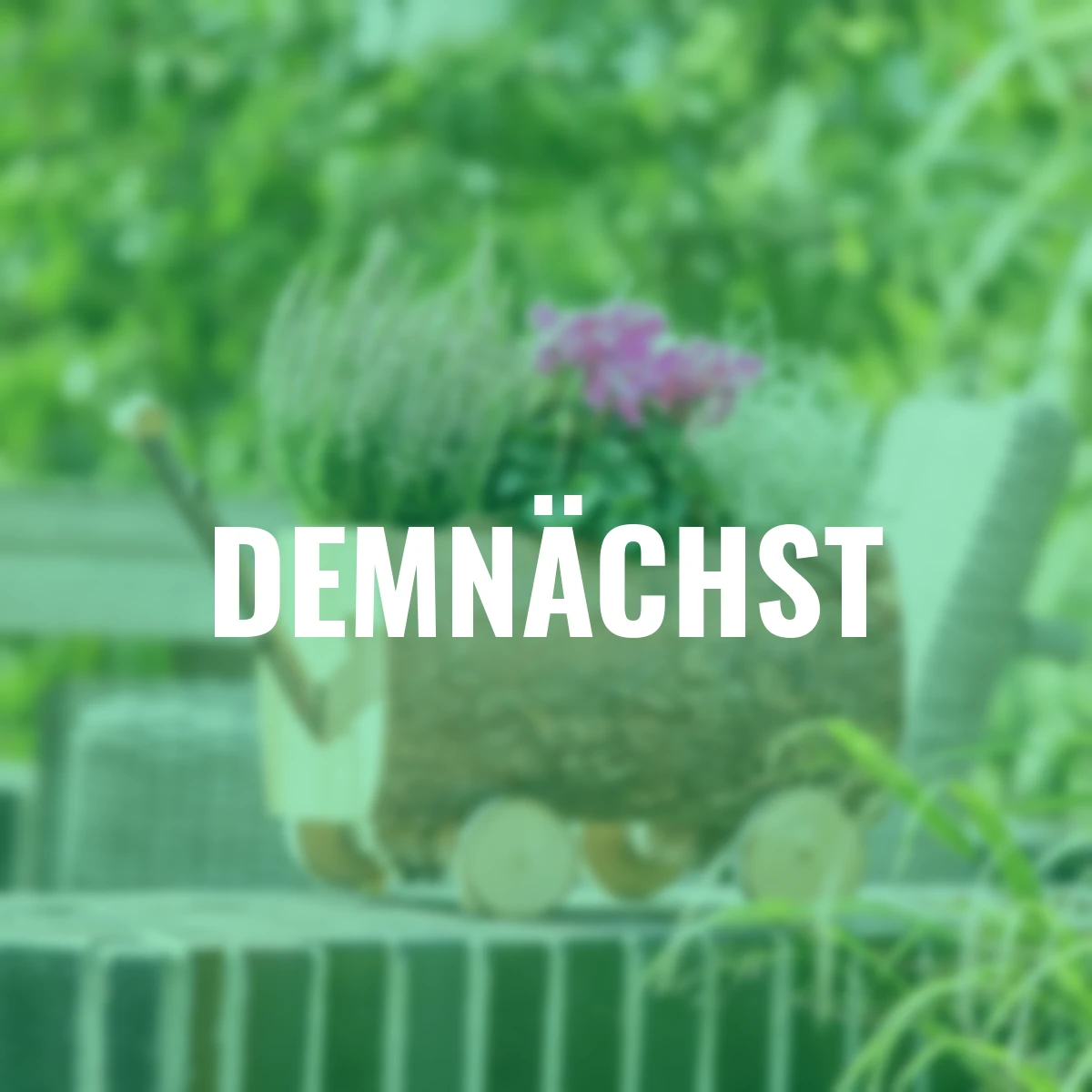 Set Blütenpracht-Arrangement