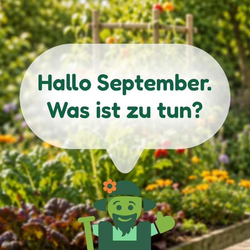 Was ist zu tun im April