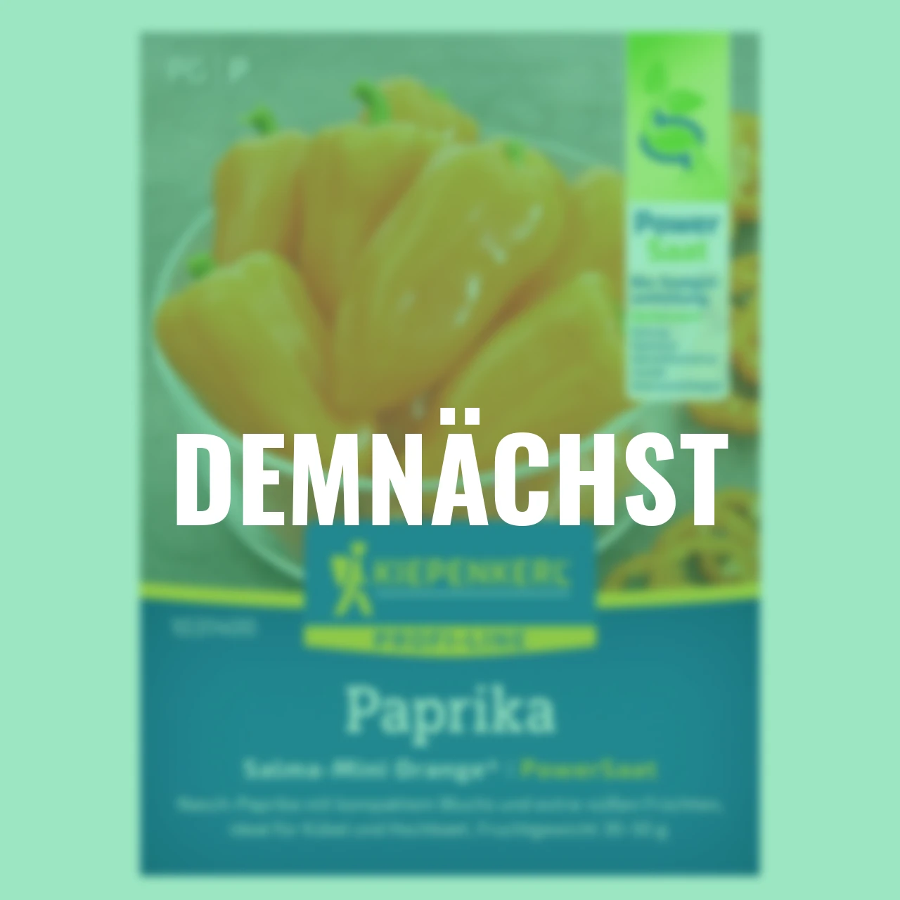 Snack-Paprika Salma-Mini Orange® PowerSaat