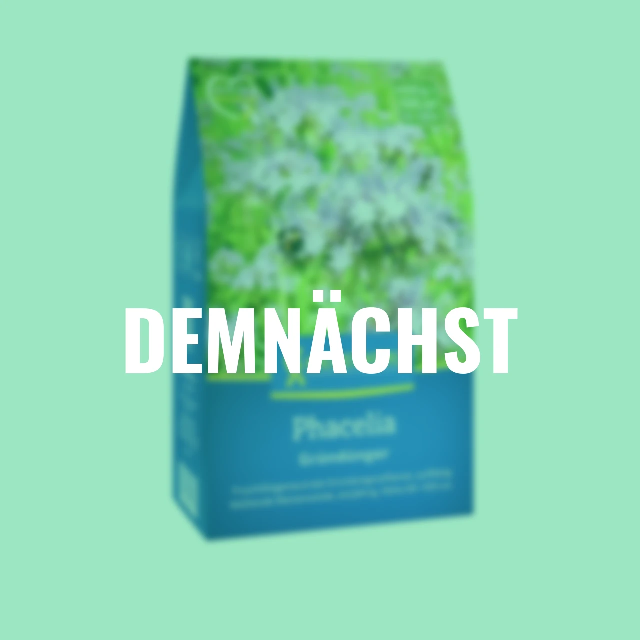 Bodenkur Phacelia, 400 g